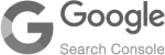 google-console (1)